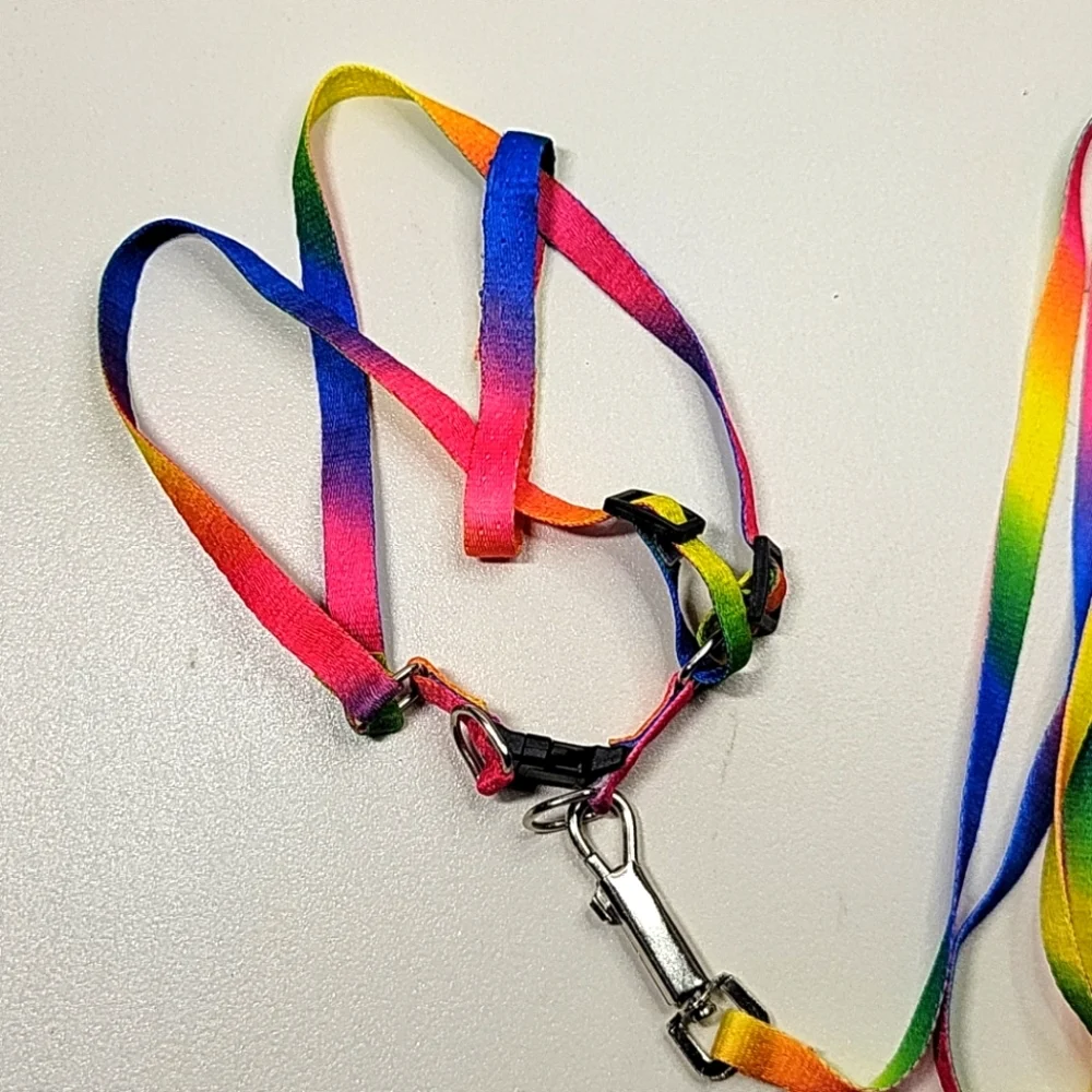 Dog leash & harness 2pc rainbow set NEW